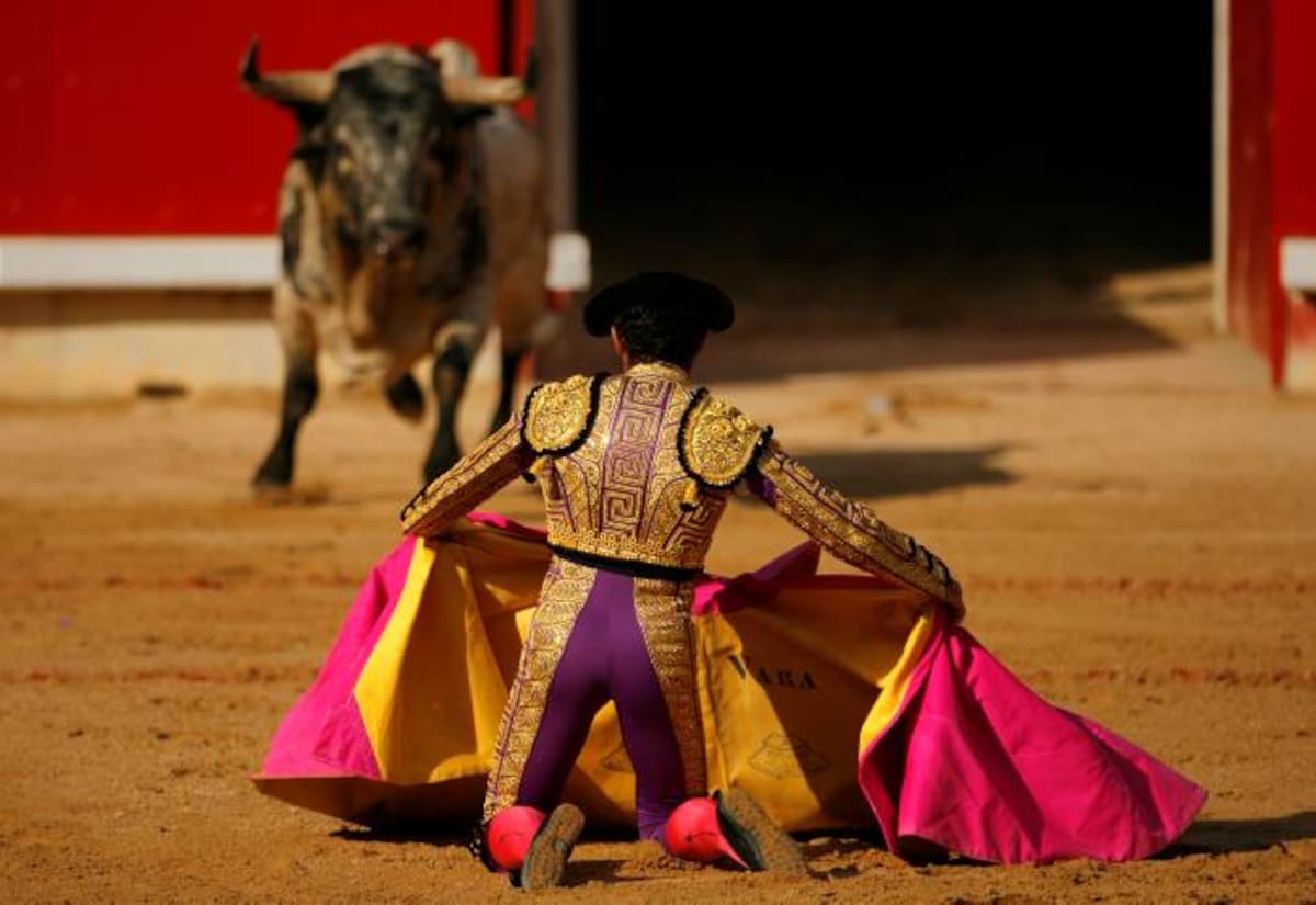 Toros en España Daniel Ochoa de Olza AP