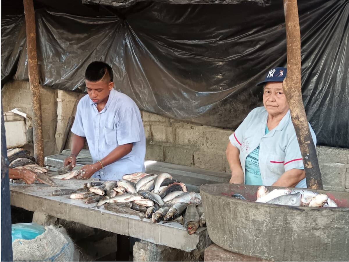 En cada municipio del Atlántico habrá vigilancia sanitaria para que los alimentos que se expendan estén en buen estado y en buena higiene.// Cortesía Gobernación del Atlántico.