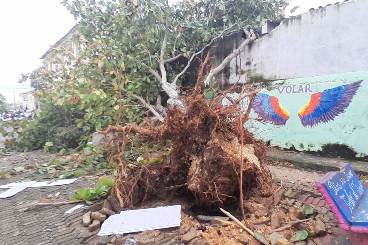 Vendaval pasó por Turbaco y Arjona: esta es la crítica situación