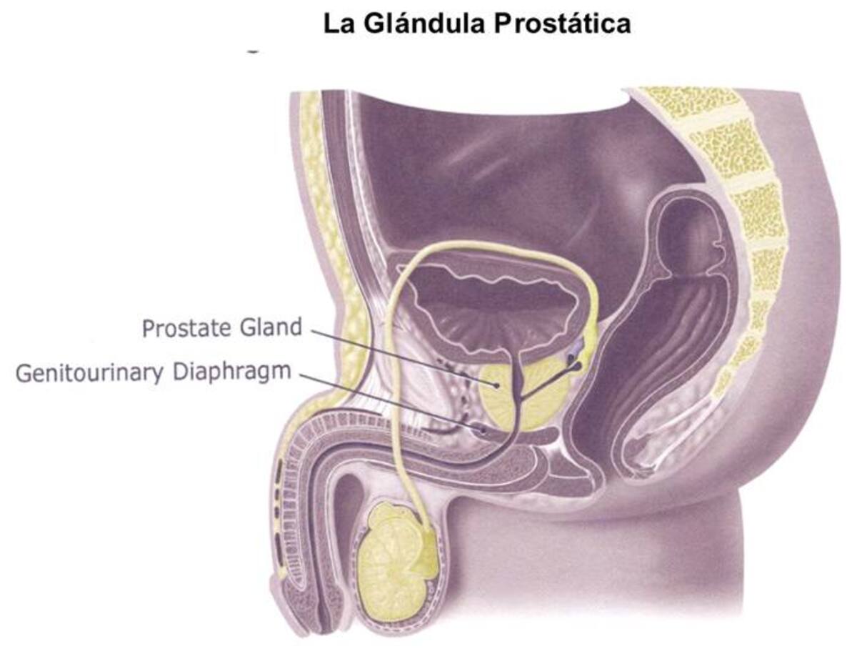 Aunque muchos hombres le temen a la visita al urólogo por el tacto rectal, el doctor Hugo López afirma que se trata de una prueba sencilla y rápida. COLPRENSA