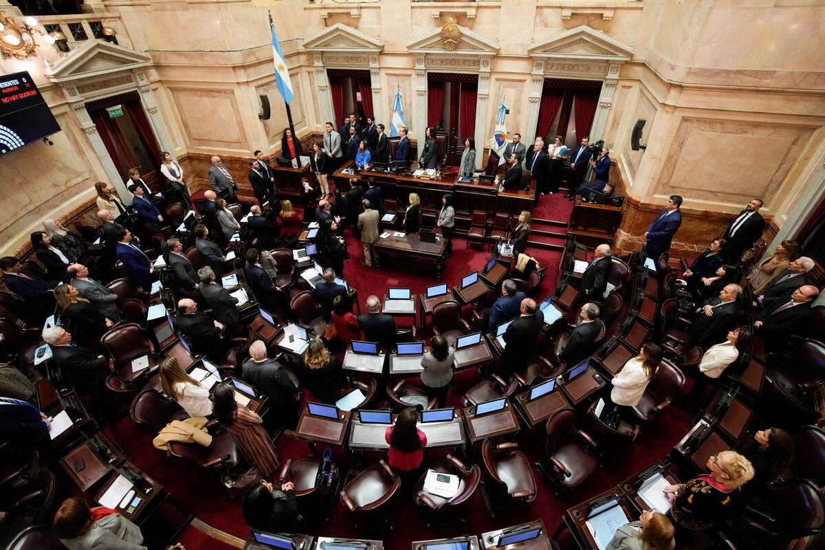 Senado argentino inicia el debate de la ley de Bases: pieza clave para Milei