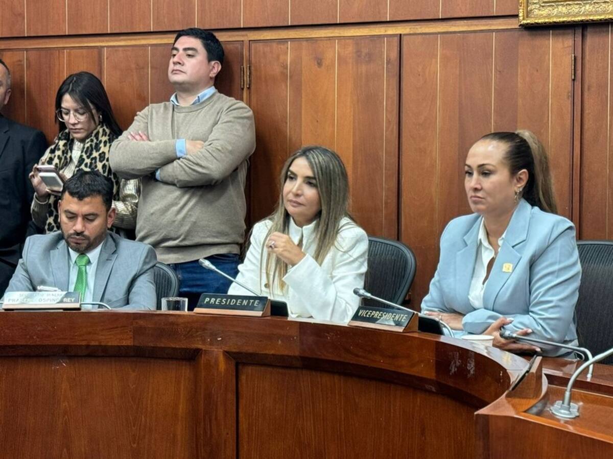 Nadia Blel preside sesión clave en el Congreso donde comienza el trámite legislativo de la reforma a la salud.