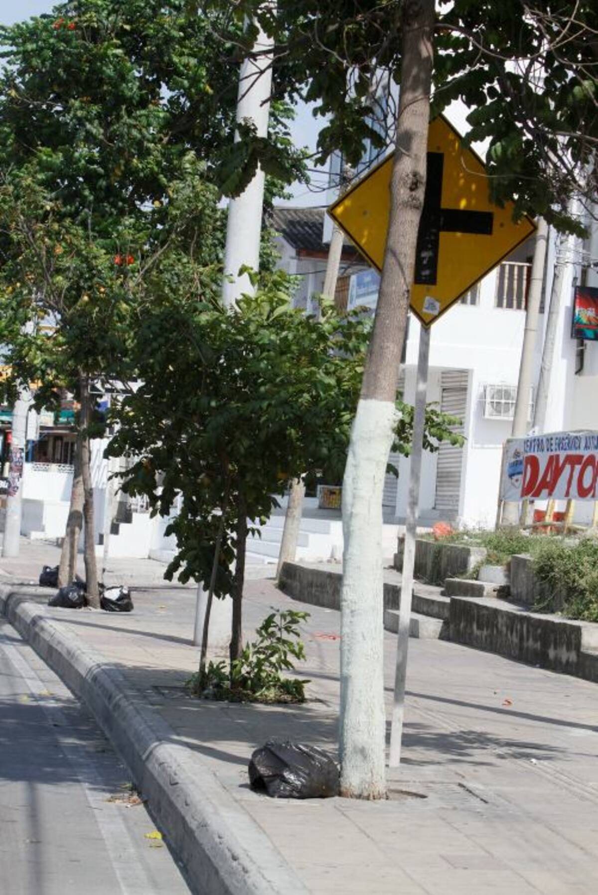 Para los ciudadanos algunas de las señales en Cartagena no están bien ubicadas, por ejemplo esta no se alcanza a apreciar bien por estar detrás de árboles. Julio Castaño
