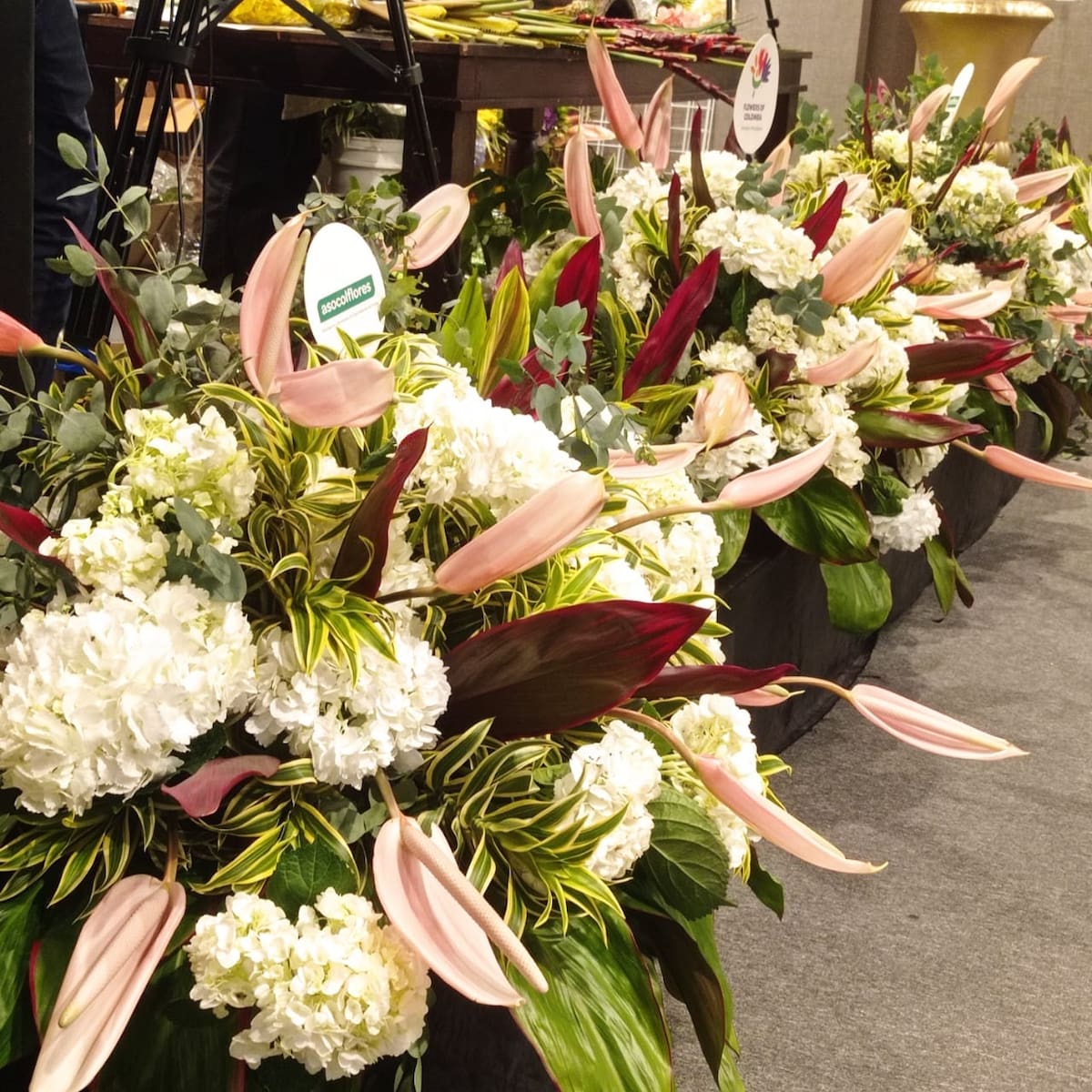 En el Centro Comercial La Serrezuela se desarrolló esta semana el 'Show Floral' de Asocolflores. //Zenia Valdelamar- El Universal