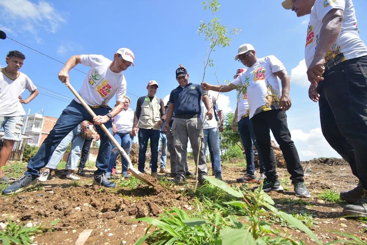 ¡Buena esa! Inicia siembra de 491 árboles por cumpleaños de Cartagena