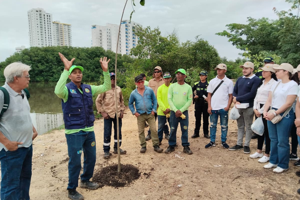 Recuperación ambiental en la avenida del Lago: siembran 50 árboles y mangles