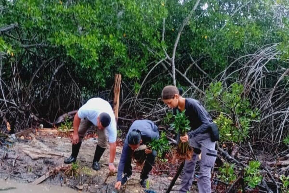 Cartagena sí celebra el Día Mundial de los Humedales sembrando vida en La Boquilla