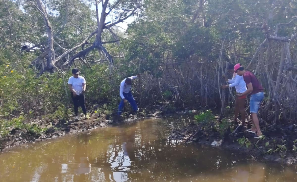 La jornada está liderada por la Guardia Ambiental Colombiana, en alianza con Cardique, la fundación Saving The Amazon y Mujeres Afro de la comunidad local. // Foto: cortesía - Guardia Ambiental