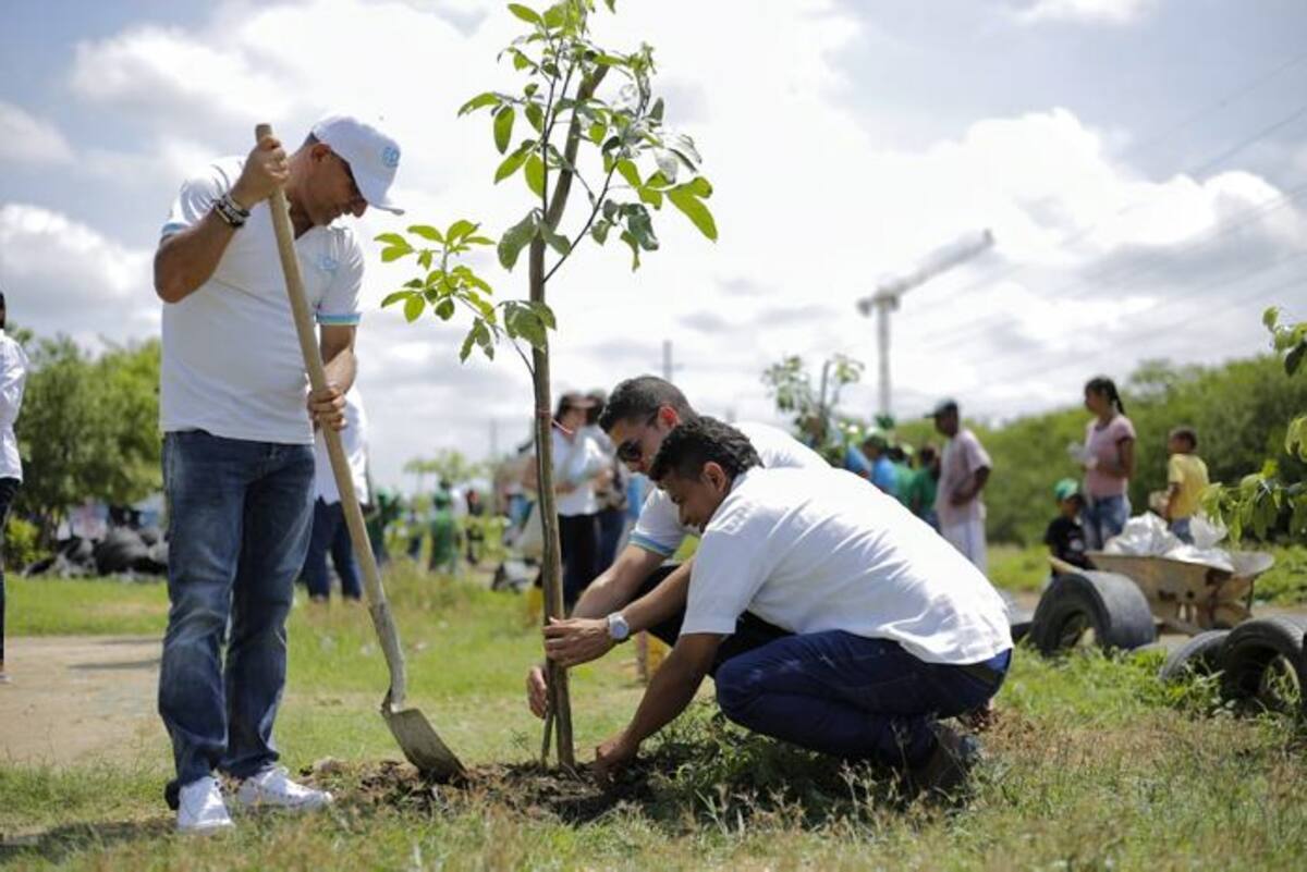 Con esta ‘Siembratón, la ciudad se suma a la campaña de siembra de un millón de árboles en Latinoamérica. CORTESÍA.