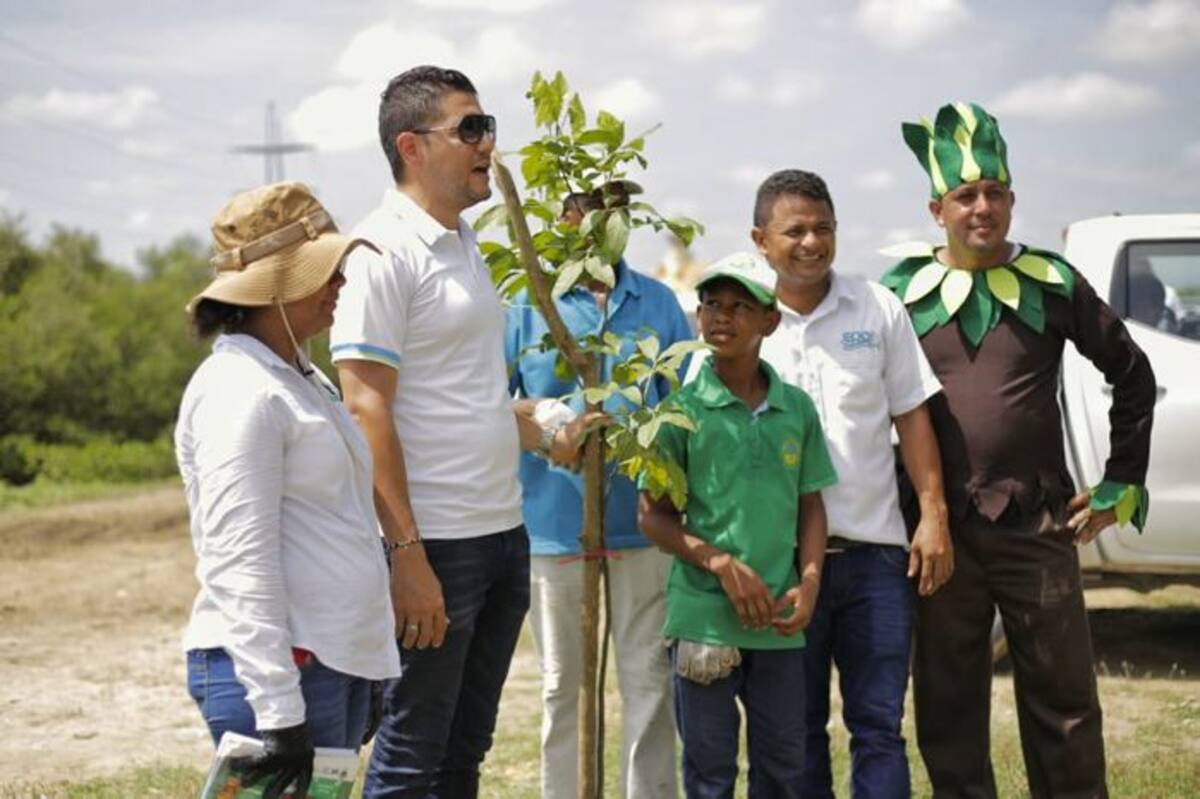 Estas plantas serán cuidadas por la comunidad, quienes serán los padrinos de cada arbolito, para que cada uno sea responsable del mantenimiento del mismo. CORTESÍA.