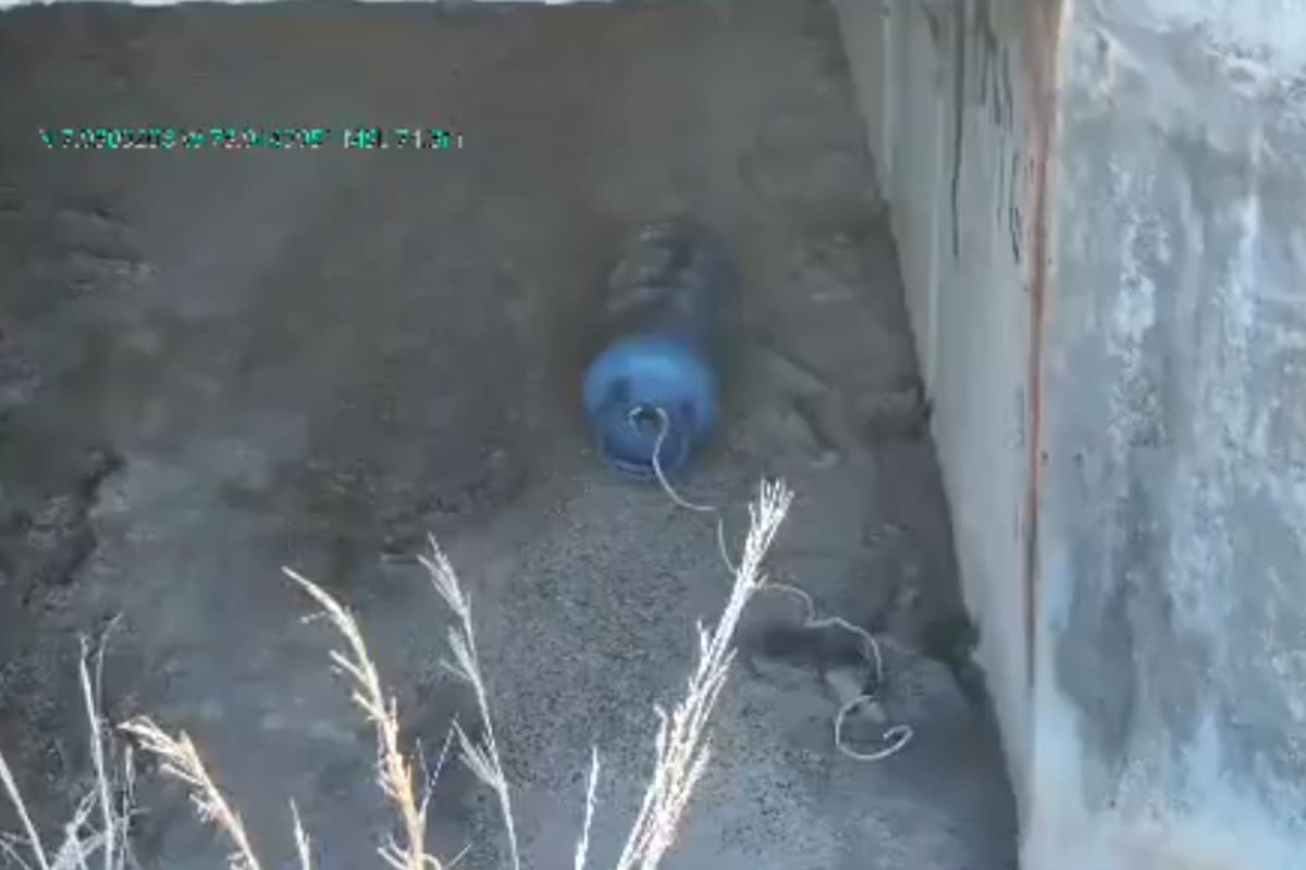 Video: Ejército desactivó peligroso explosivo y evitó una tragedia en Simití, sur de Bolívar