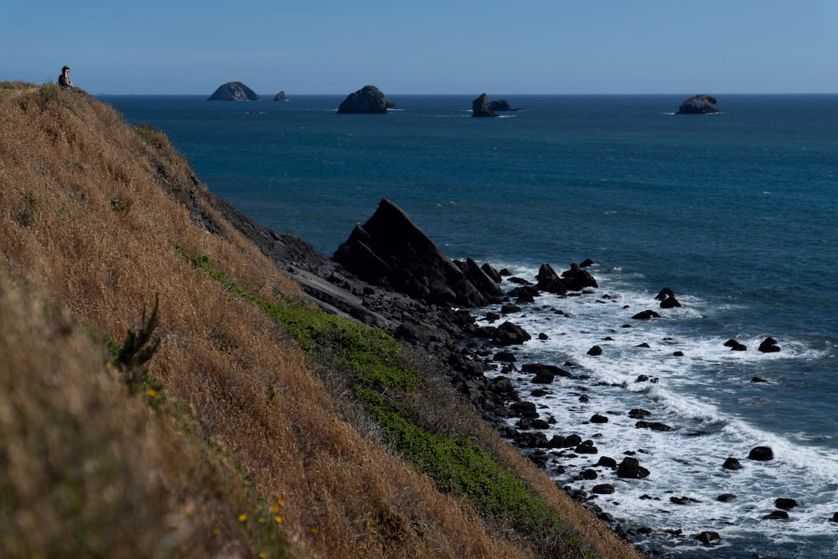 La costa oeste de Estados Unidos estaría preparada para recibir un sismos de la magnitud 6.0. // Foto: AP