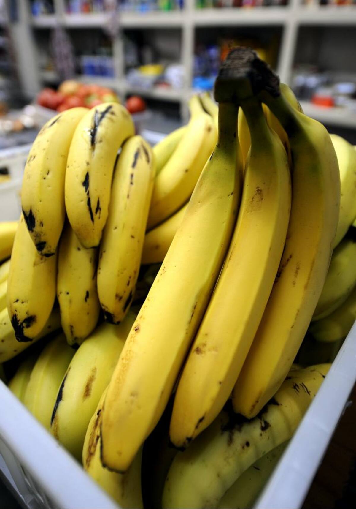 Some bananas are displayed for sell in a store of San Jose on July 29, 2008. Banana traders from France, Russia and Italy, have shown their interest in acquiring or grow bananas in Costa Rica, following the recent agreement between Latin American countries and the European Union (EU) to reduce tariff caps per metric ton imported. AFP PHOTO/Yuri Cortez
