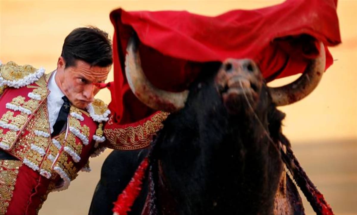 La televisión pública volverá a retransmitir una corrida el 5 septiembre. Daniel Ochoa de Olza AP