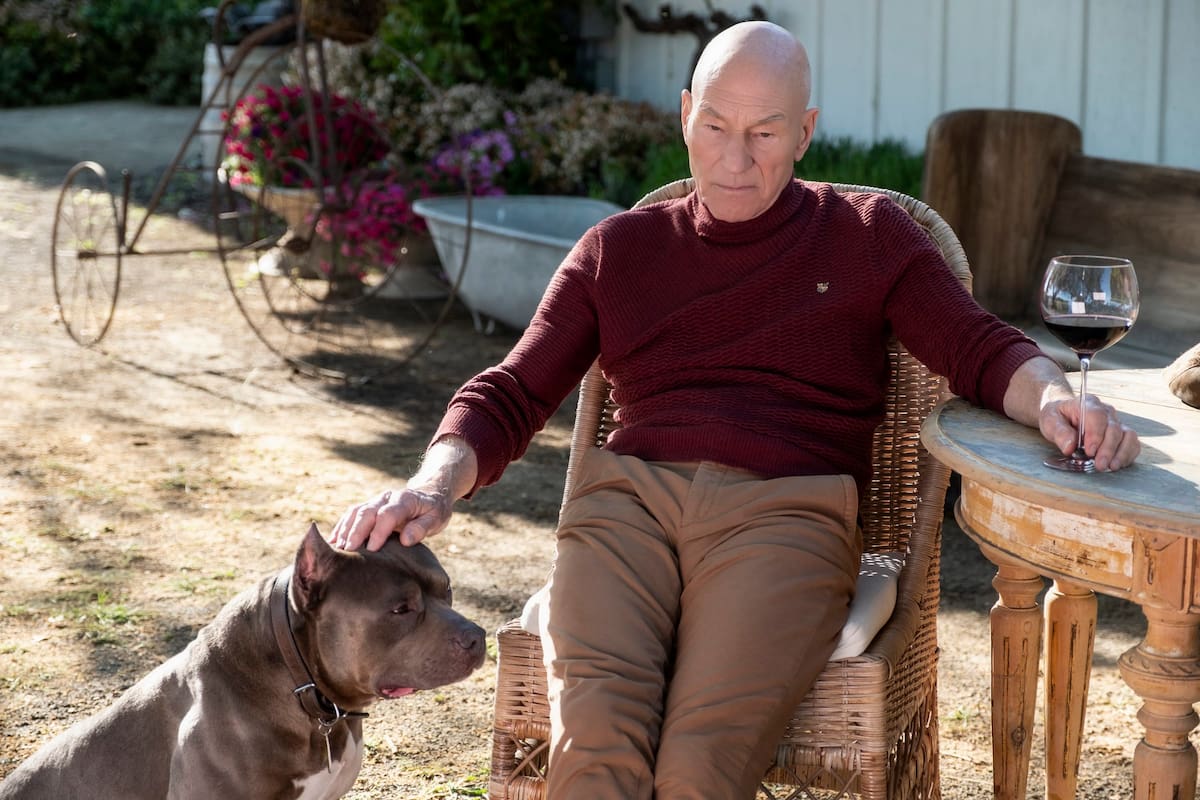 Muere Patrick Stewart a los 86 años, el inolvidable profesor Charles Xavier de ‘X-Men’