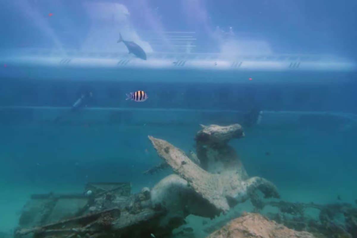 Tragedia en Egipto: submarino se hundió lleno de turistas en el Mar Rojo