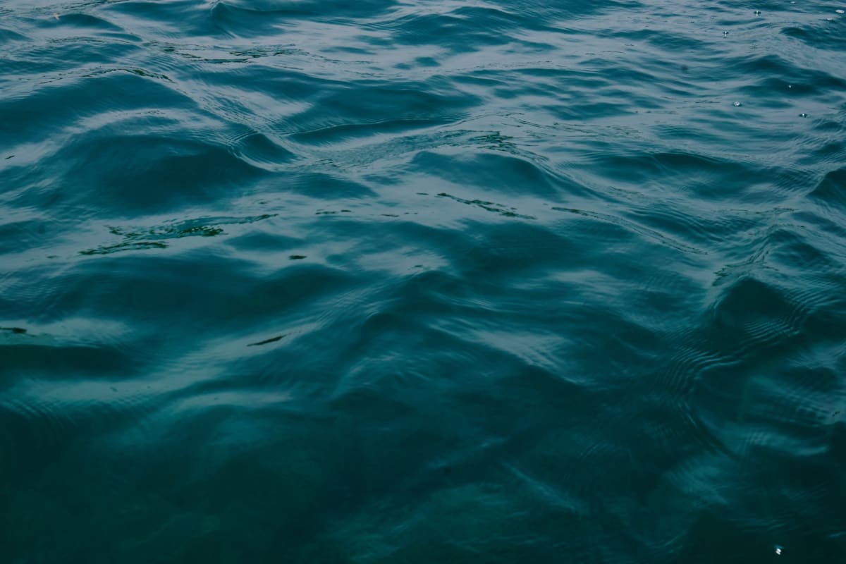 Superficie del mar. // Foto: cortesía - Susana Vásquez Figueroa – IG: Pedazos de Historias – Fundación Varadero.
