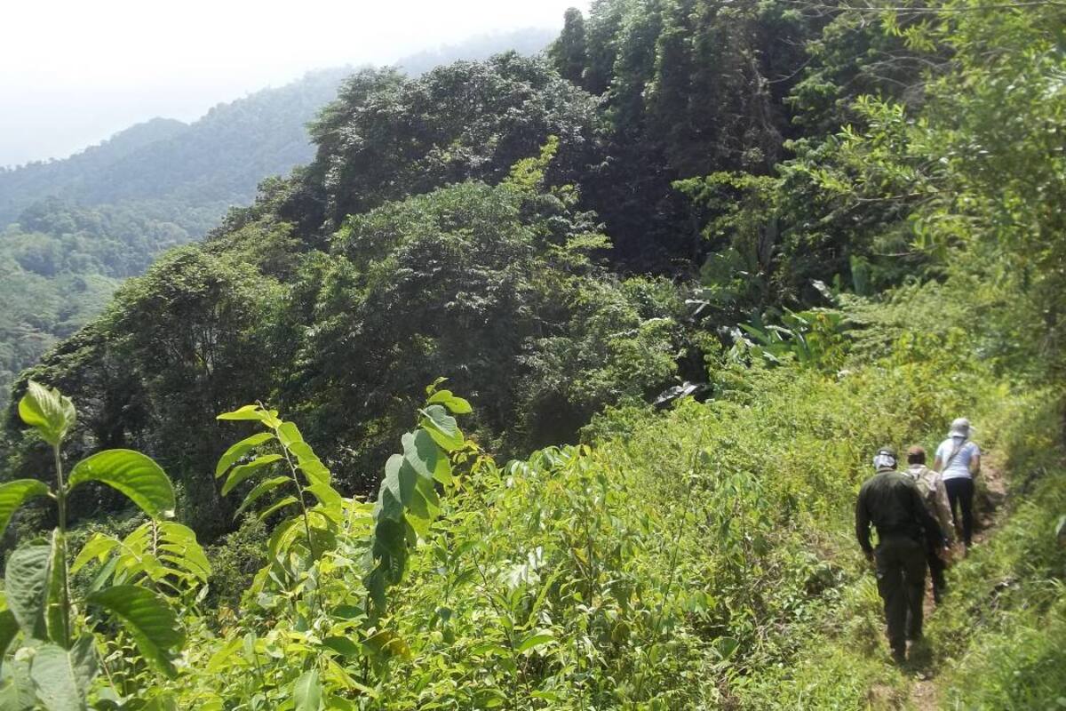 Sur de Bolívar