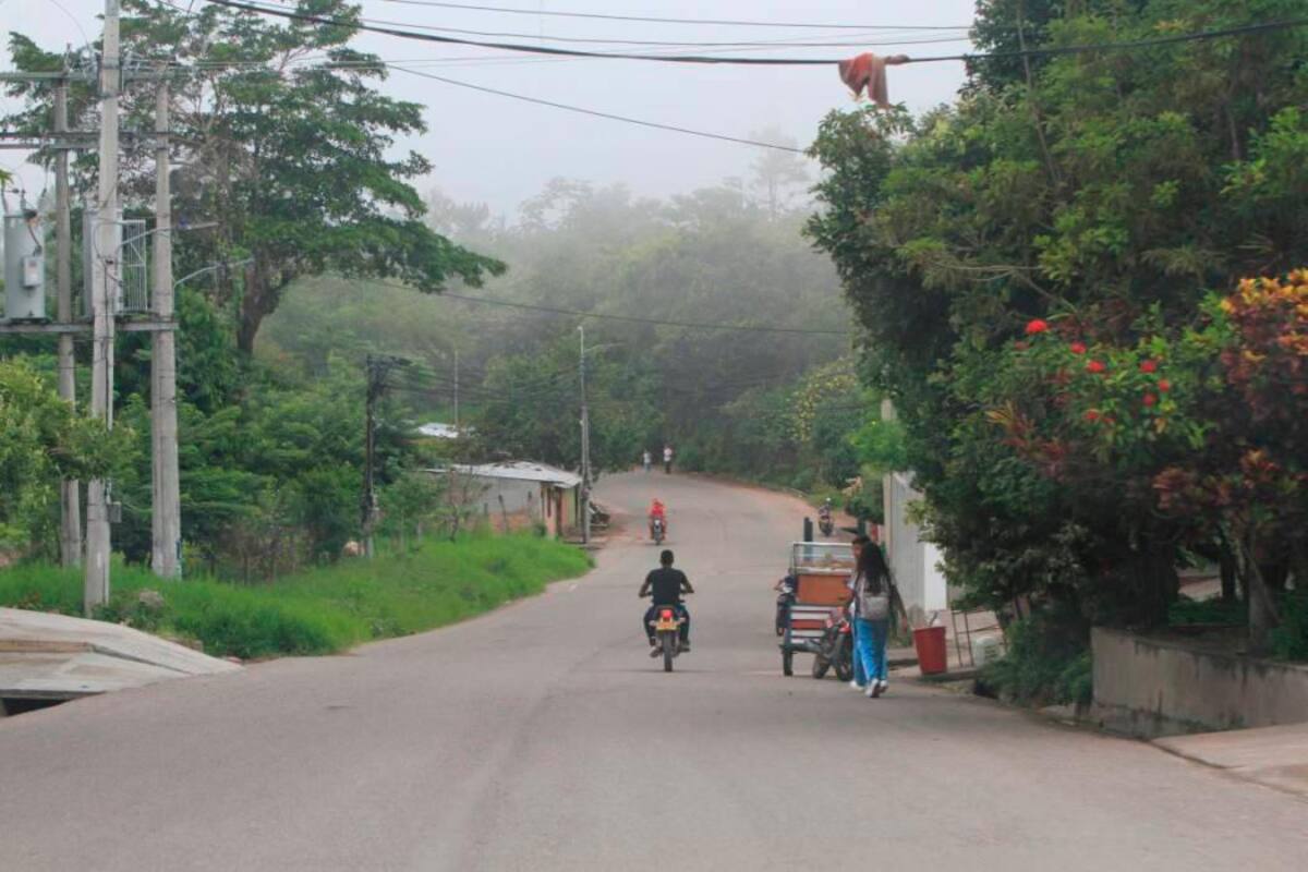 Alarmante: más de 1.500 desplazados en el sur de Bolívar este 2024