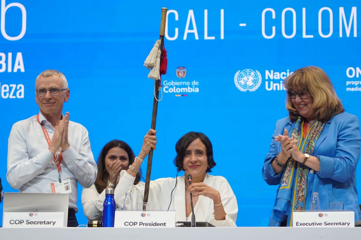 COP16 cierra en Cali sin acuerdo financiero para la biodiversidad