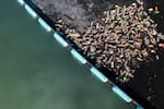 Alcaldía de Cartagena y The Ocean Cleanup buscan frenar la contaminación de los cuerpos de agua