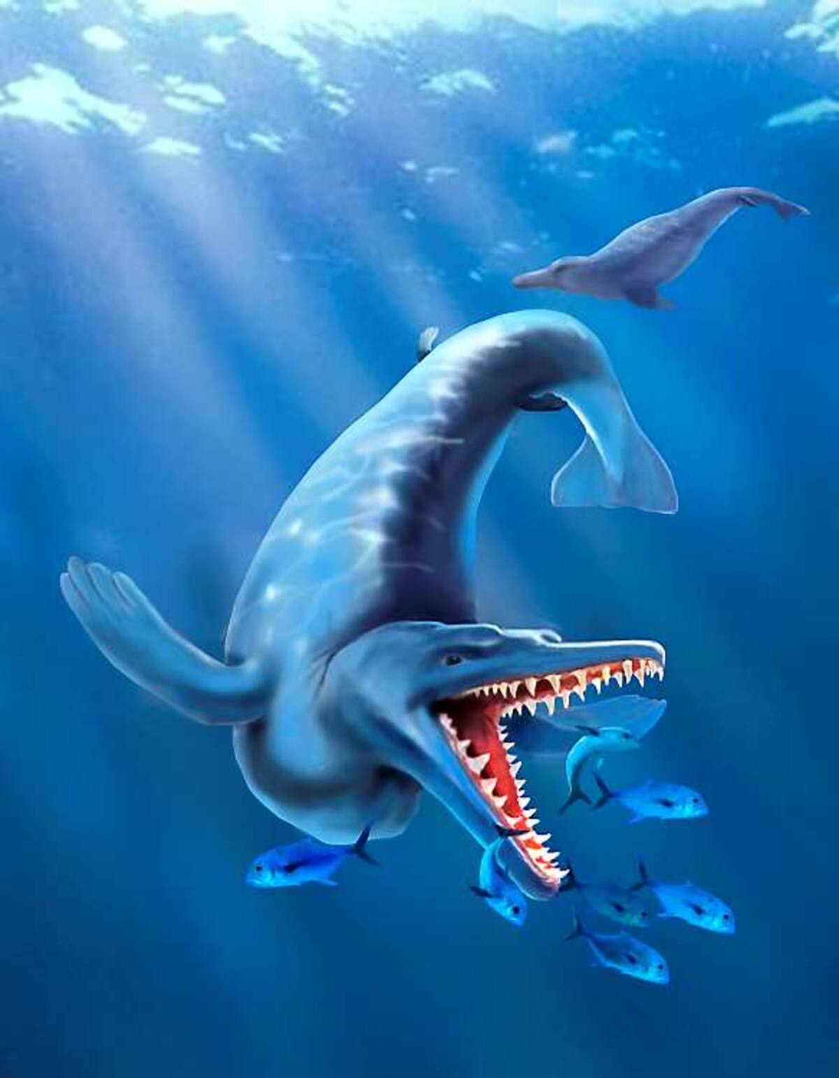 El fósil es llamado arqueoceto AFP