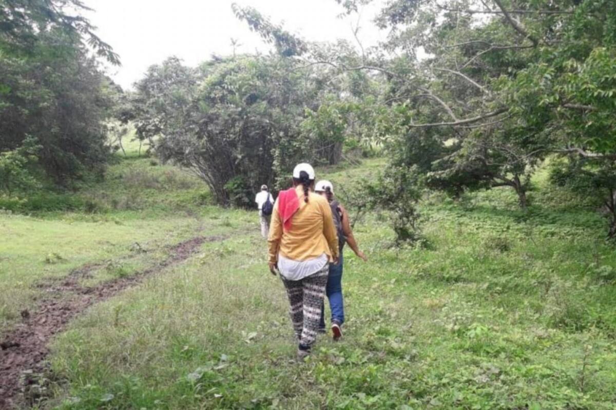 Con demanda colectiva buscan restituir predios a familias campesinas de Corozal