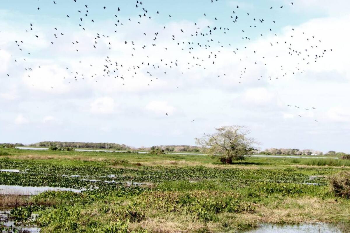 Solicitudes de tierras ante la ANT ha aumentado en la Costa Caribe