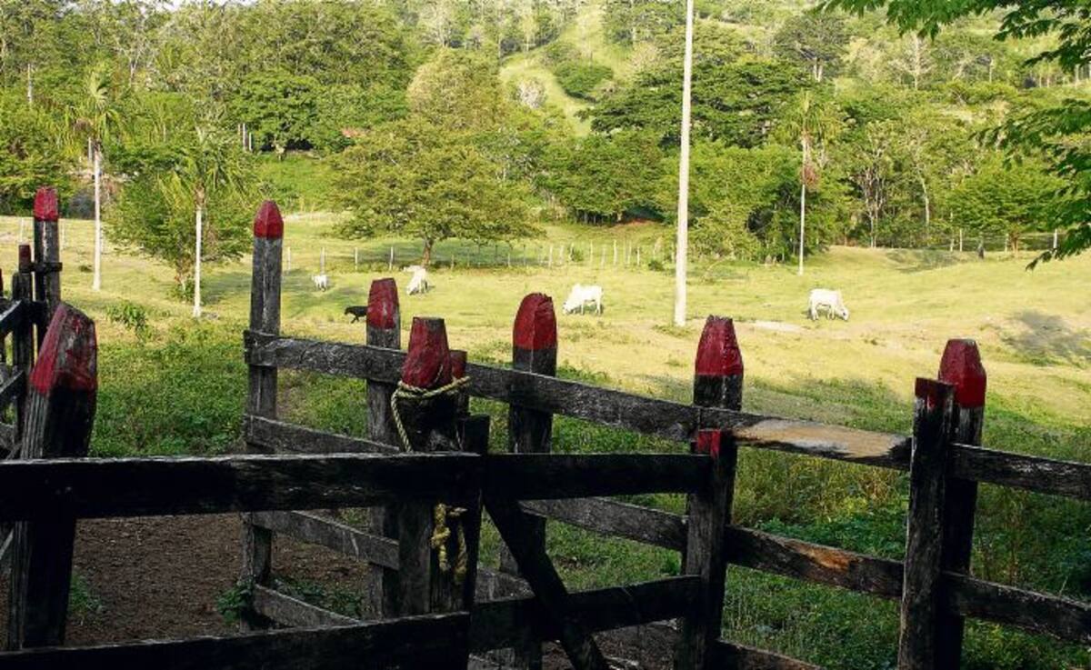 La informalidad en la tenencia de pequeños predios rurales pretende ser acabada con la legalización a través de la Ley 1561. MANUEL SANTIAGO PÉREZ/EL UNIVERSAL/