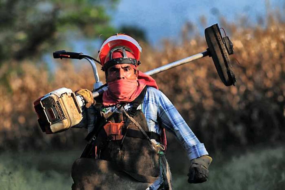 En largometrajes de ficción en competencia se presentará la película Todos tus Muertos del colombiano Carlos Moreno. Archivo /ElUniversal