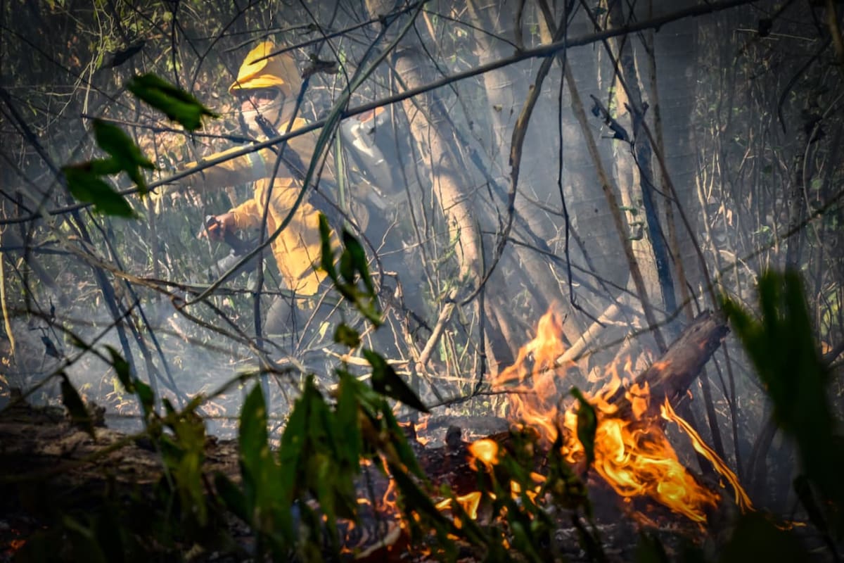 Incendios forestales en el Tolima han sido controlados en un 84 %. // Foto: Colprensa - Externos (Corporación Autónoma Regional del Tolima - Cortolima).