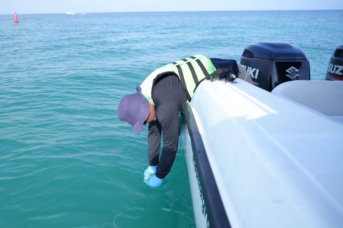 Toman nuevas muestras para analizar contaminación en Playa Blanca y Portonaito