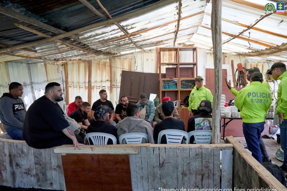 Finca era el epicentro de un torneo internacional de peleas de perros: hubo 13 capturas