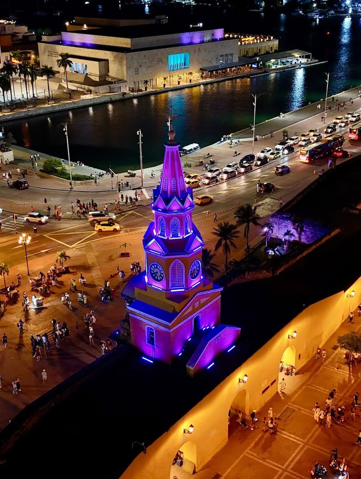 El púrpura es el color que simboliza la sensibilización sobre la epilepsia. // Cortesía - Alcaldía de Cartagena