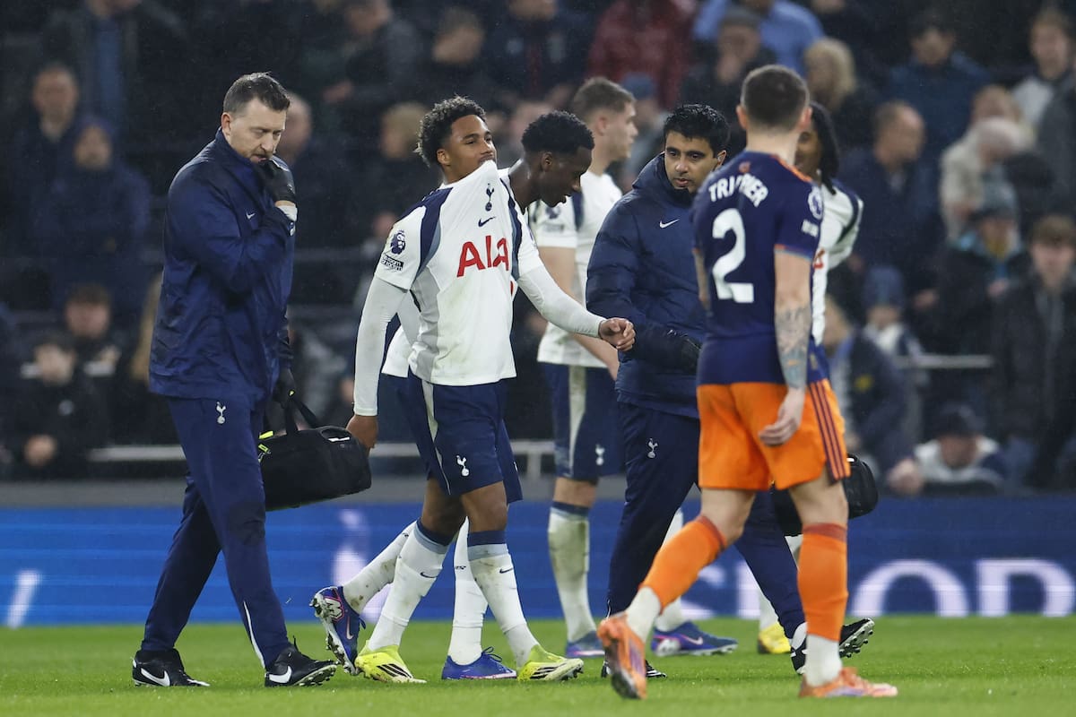 Tottenham se queda sin entrenador: el equipo pelea por no descender