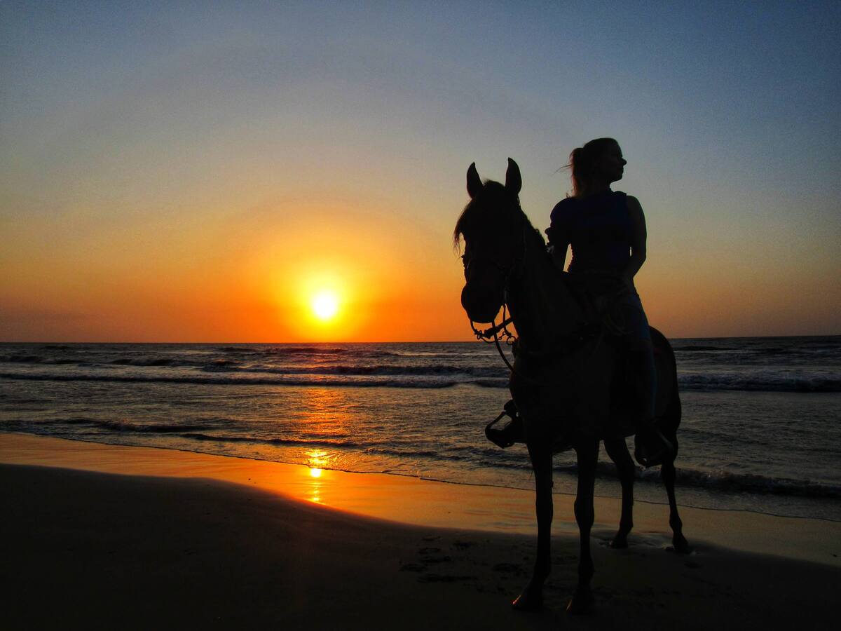 Tour a caballos