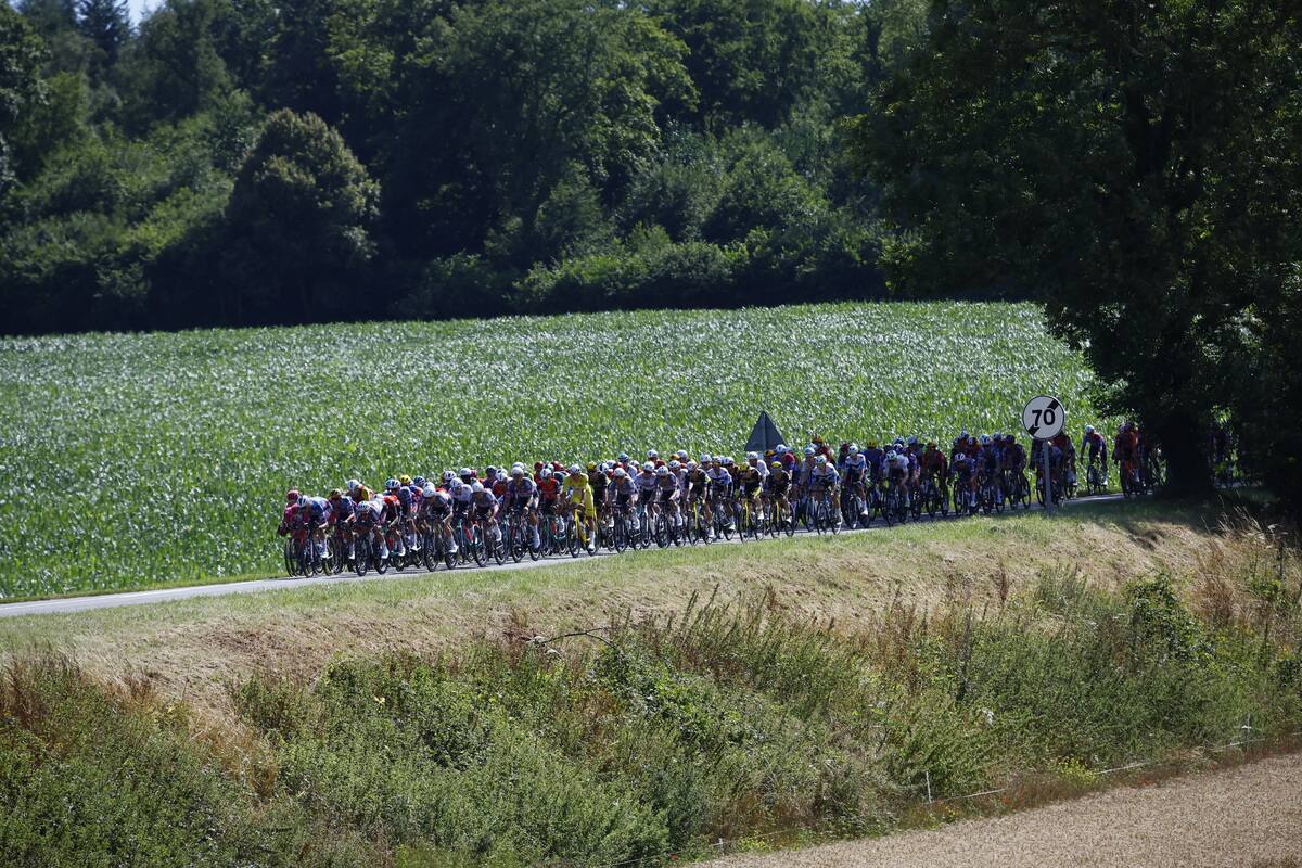 El pelotón durante la cuarta etapa del Tour de Francia, una carrera ciclista de 174,2 km desde Amiens a Rouen, Francia. //Foto, EFE: MARTIN DIVISEK