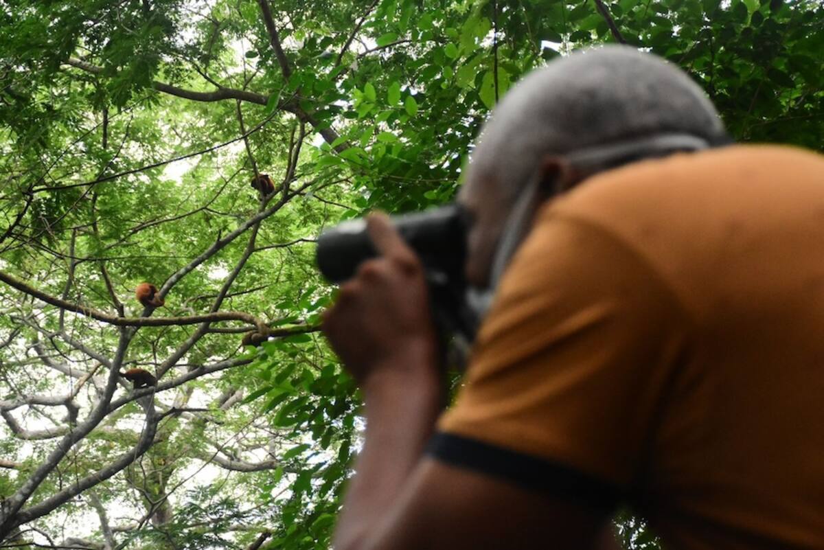 Este fin de semana en el Centro Italiano de Barranquilla se llevará a cabo la III Feria de Turismo de Naturaleza, que busca insentivar esta actividad en el Atlántico.