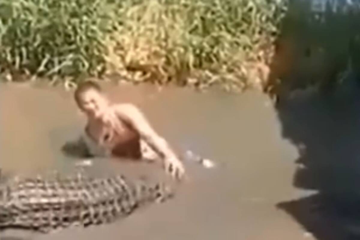 Video: Turista confunde a cocodrilo con estatua y casi acaba con su vida