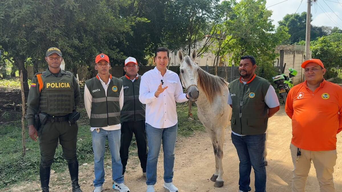 Umata retira caballo adoptado tras verificación oficial. // Foto: cortesía - Umata