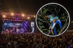 Insólito: hombre se quedó dormido en un árbol durante un concierto