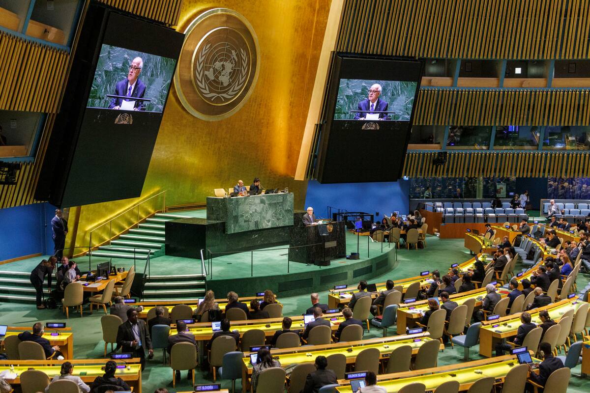 New York (United States), 10/05/2024.- Permanent Observer of Palestine to the United Nations Riyad Mansour speaks before the United Nations General Assembly votes on a Palestinian bid to become a full UN member at the United Nations Headquarters in New York, New York, USA, 10 May 2024. (Nueva York) EFE/EPA/SARAH YENESEL