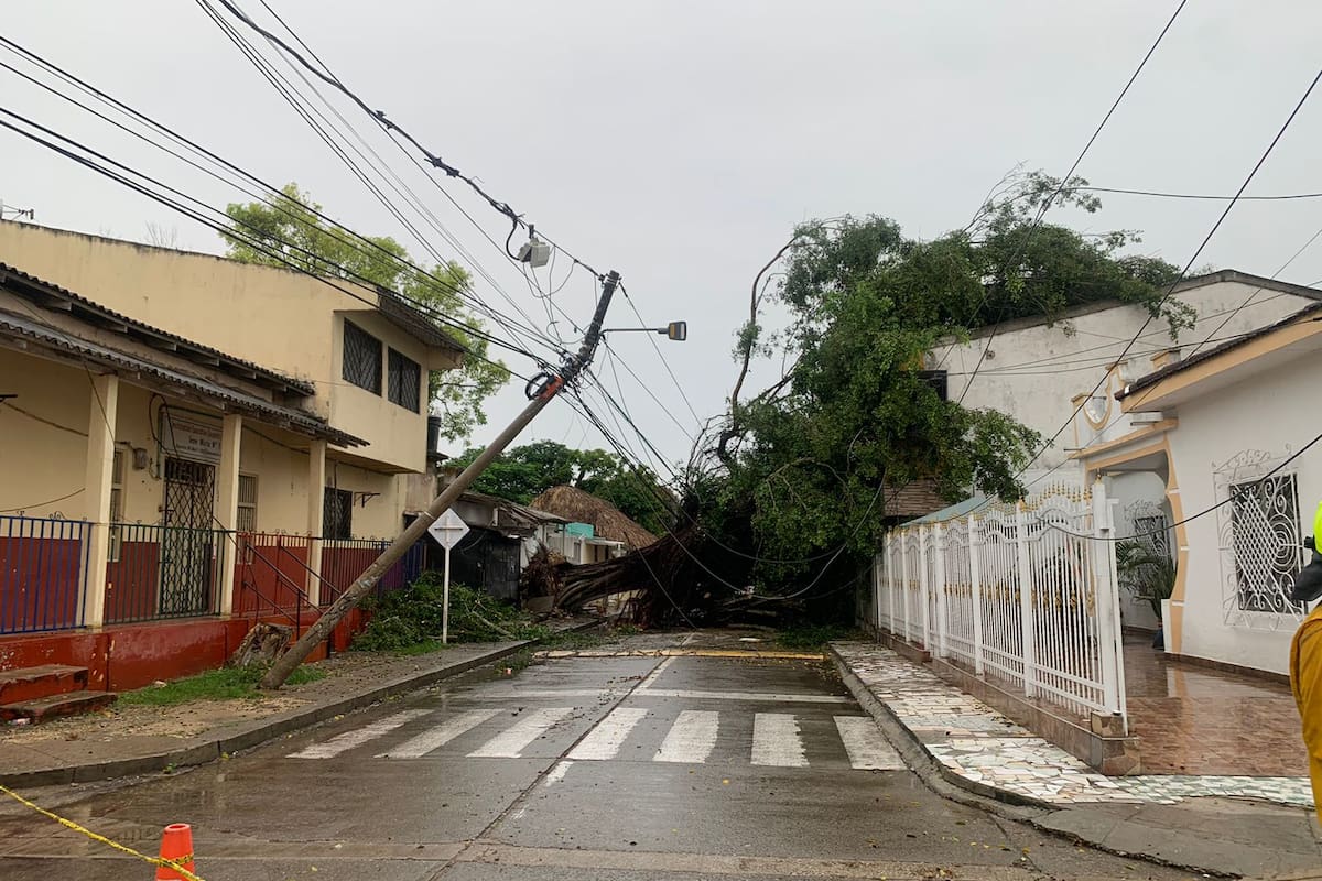 Video: lluvias en Turbaco dejan árboles caídos y cortes de energía
