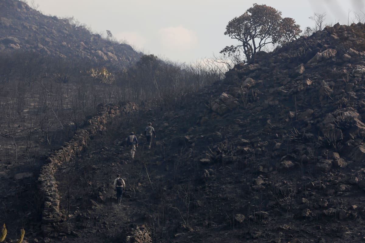 Incendios en Villa de Leyva: MinInterior entrega nuevo balance. // Foto: EFE.