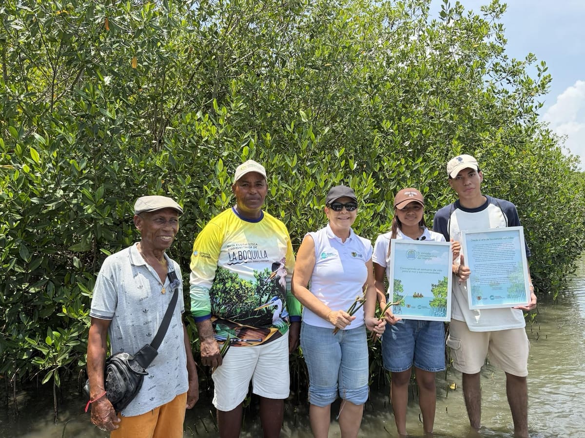 Unicartagena y la comunidad se unen para proteger los manglares de La Boquilla. // Foto: cortesía - Unicartagena