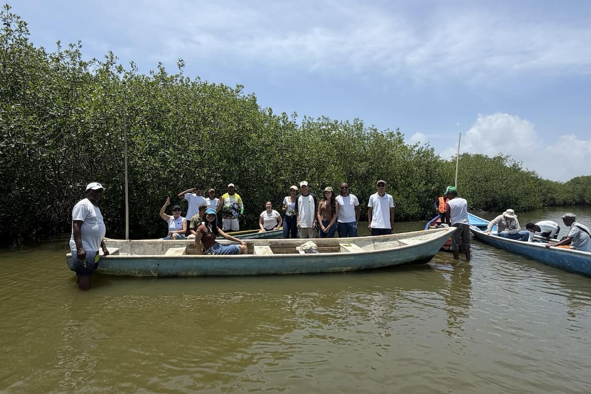 La Boquilla cuenta con un nuevo santuario para la conservación de manglares