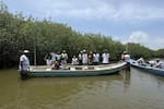La Boquilla cuenta con un nuevo santuario para la conservación de manglares