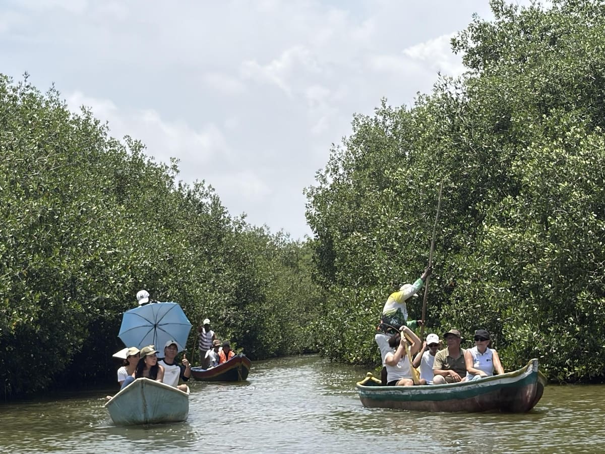 Unicartagena y la comunidad se unen para proteger los manglares de La Boquilla. // Foto: cortesía - Unicartagena