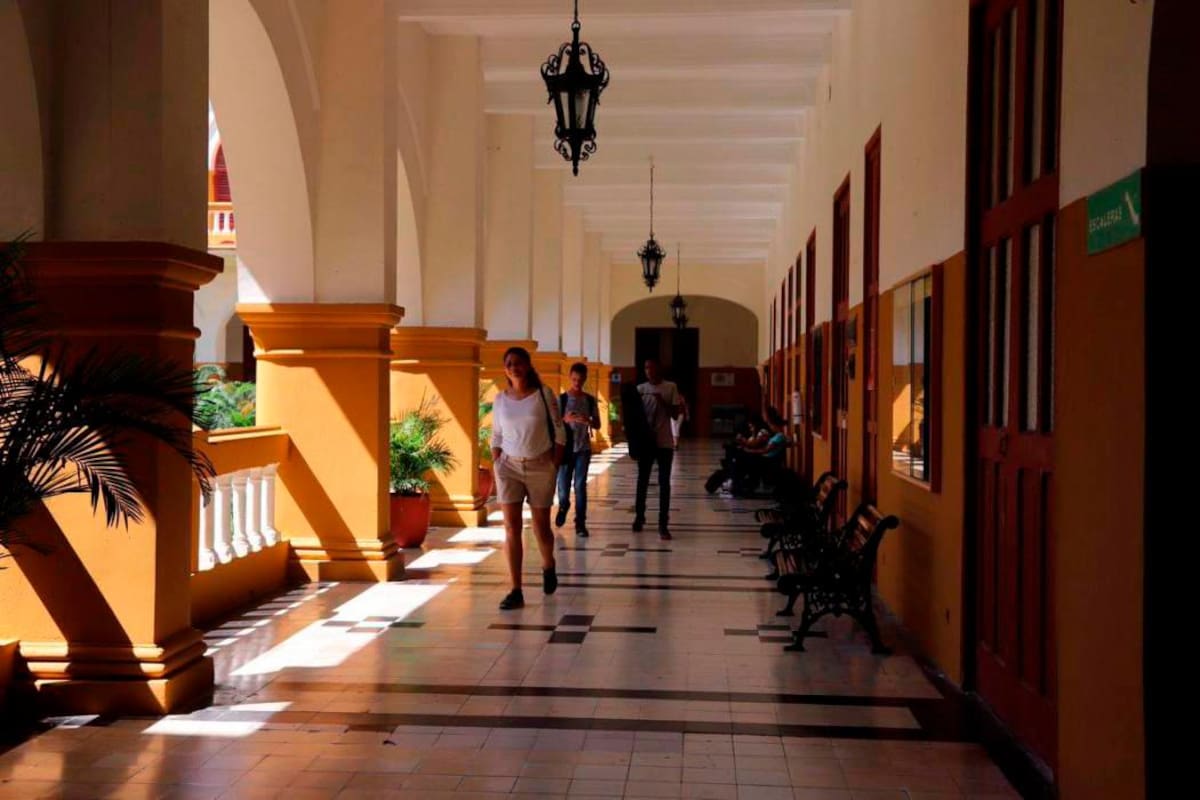 Estas son las carreras universitarias que más se estudian en Cartagena