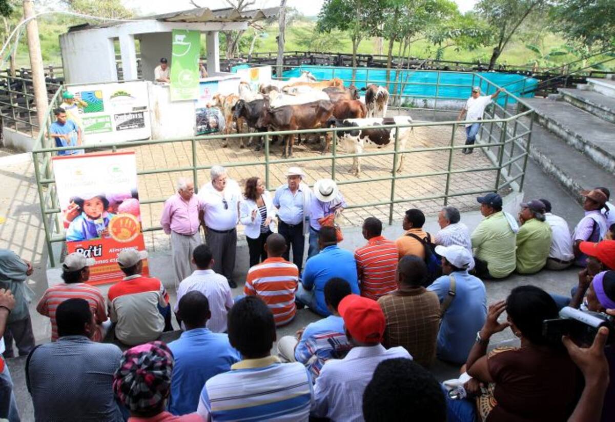 Como en entregas anteriores, la entrega de los bovinos se hace por sorteo. AROLDO MESTRE - EL UNIVERSAL
